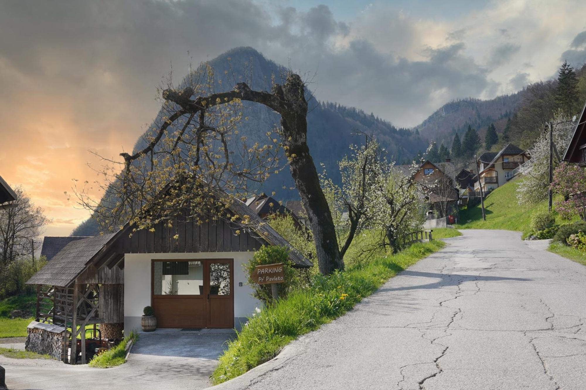 Apartments Pr' Pavleto Bohinj Exteriér fotografie