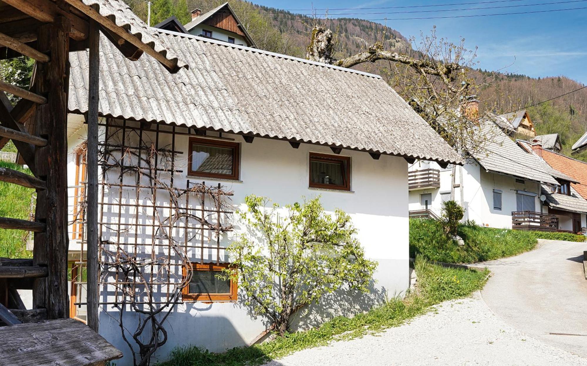 Apartments Pr' Pavleto Bohinj Exteriér fotografie